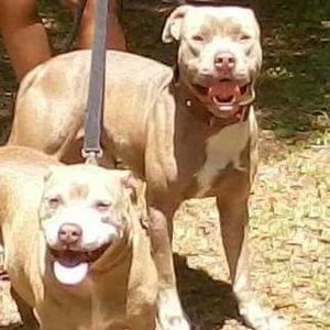 Meet your Posher, Chad